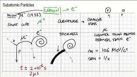 Muons, Pions, Kaons, Neutrinos.
