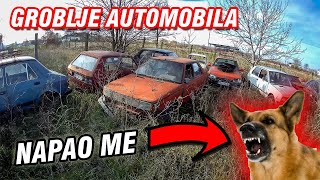 GROBLJE AUTOMOBILA, NAPALI ME KEROVI!?