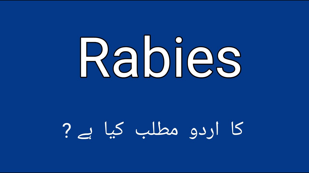 Rabies Meaning In Urdu Rabies Ka Matlab english YouTube Rabies Meaning In Urdu Rabies Ka Matlab english YouTube