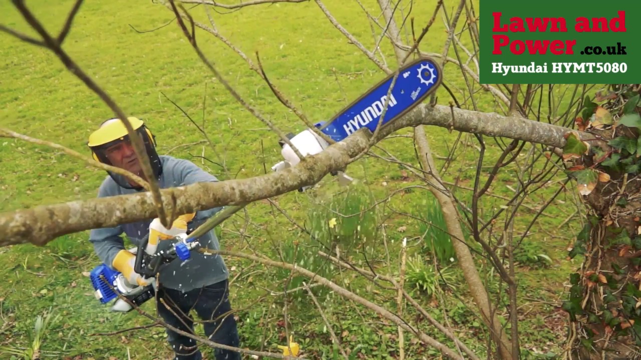 petrol multi tool hedge trimmer