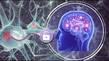Unlock  your Phone with your Brain  |  Cancelable Biometric Password  | Brain Passsword