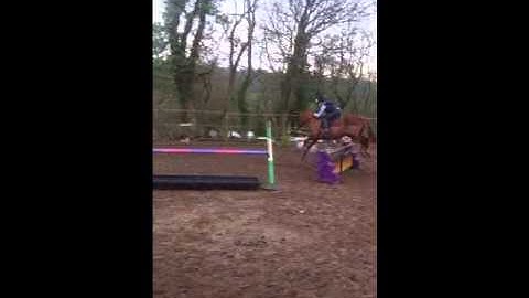 A-level P.E horse riding