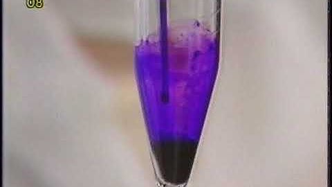 8. Cell Counting  //  Microcarrier Techniques