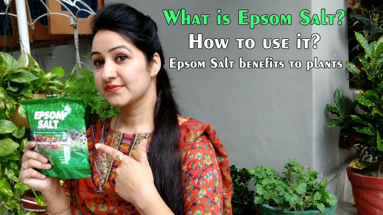 What is Epsom Salt? Benefits of Using Epsom Salt on Plants How to