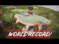 TacticalBassin's Latest World Record! (And How To Get Your Own World Record)