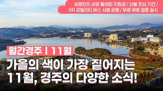 📢월간경주소식 11월 ㅣ남은 가을을 알록달록 물들이는 경주소식! #경주시 #혜택 #행사