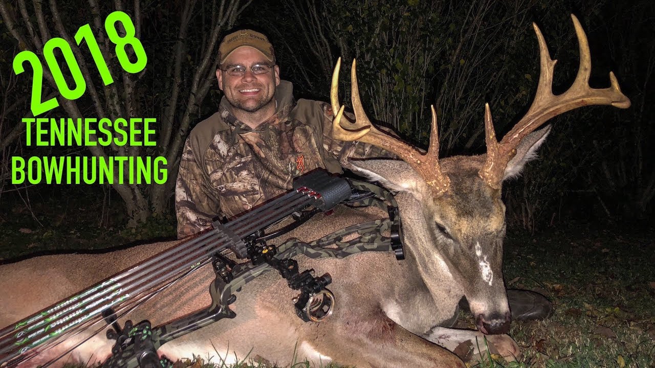 Bow Hunting Tennessee 2018 YouTube