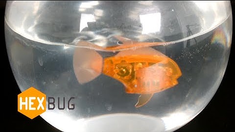 Aquabot 2.0 from Hexbug