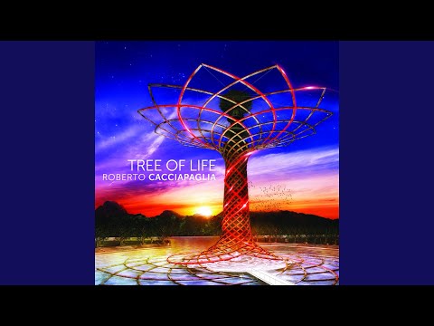 Putar I Feel Alright - Roberto Cacciapaglia