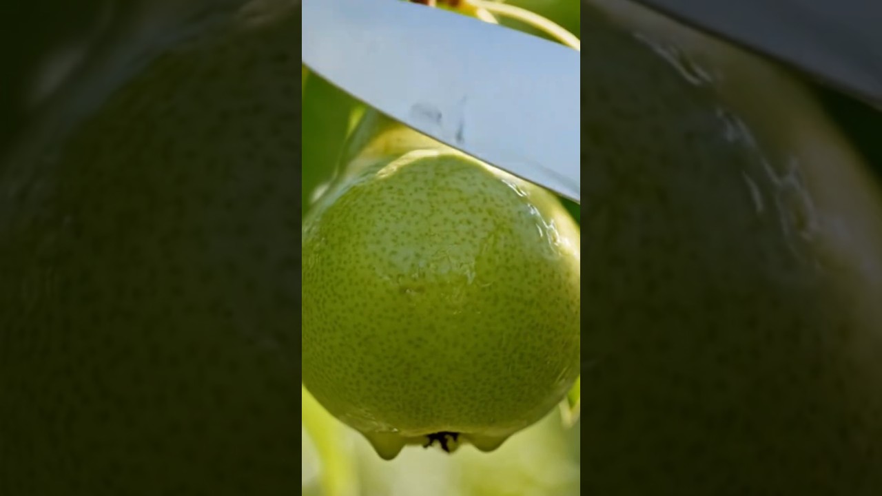 Cutting Glass Fruit Pear 🍐 ASMR 