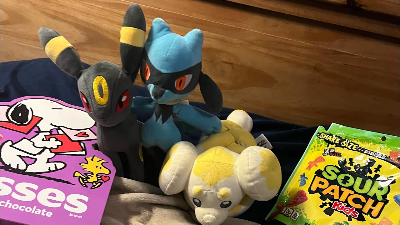 The Pokemon Sleepover