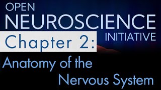 "Anatomy of the Nervous System" Open Neuroscience Initiative Chapter 2 (Free Neuroscience audiobook)