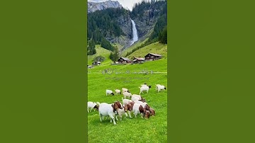 تلاوة من سورة النازعات #القارئ_زين_العابدين_الحديدي