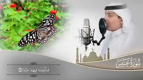 (سورة عبس) تلاوة مرئية نديه - | القارئ علي عبدالسلام اليوسف | Surah-Abasa ልብ የሚያርጥብ ቁርአንን🌹🌹🌹