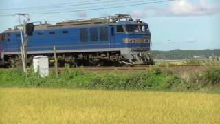 3099レ EF510- 503 鶴形〜富根 2016 0911