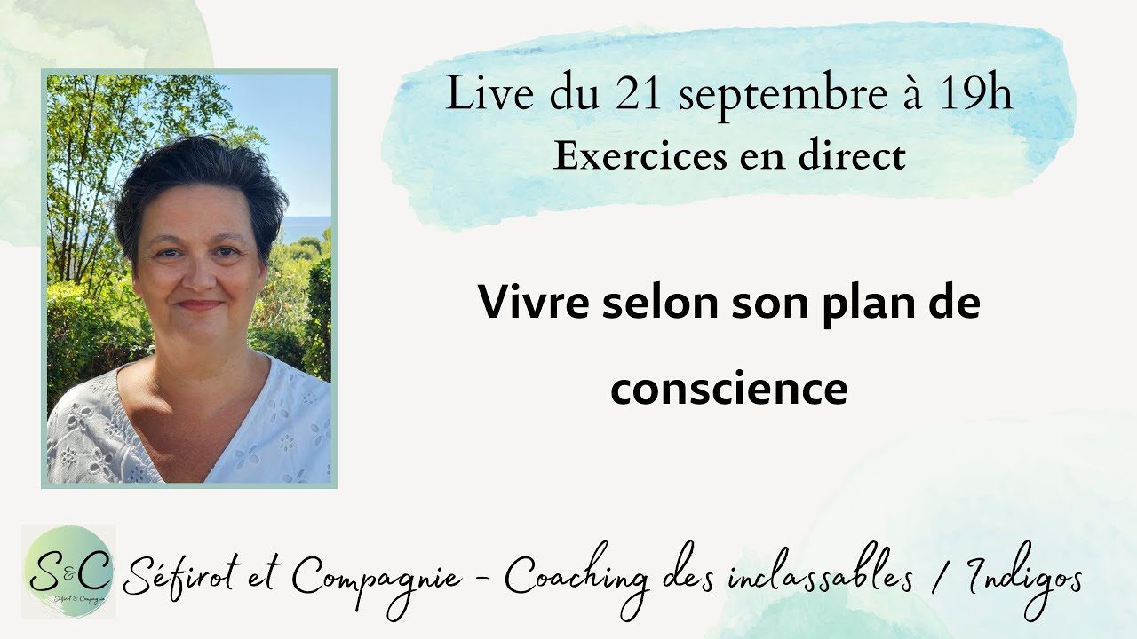 🎥 Régler ses conflits intérieurs en vivant selon son plan de conscience