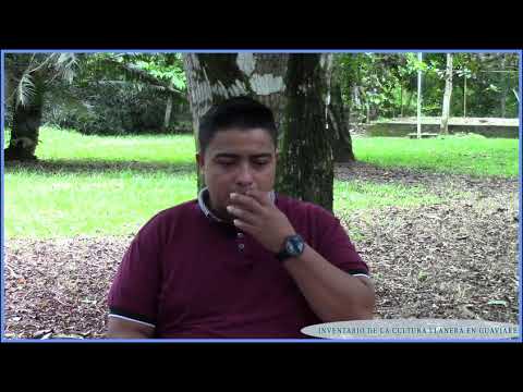 Ritmos de la música llanera
