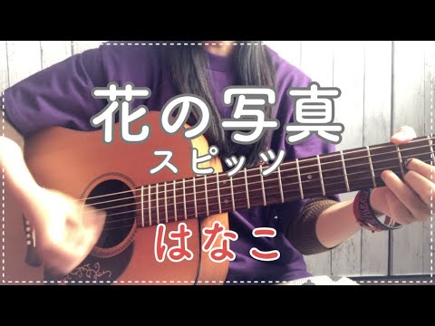 [弾き語り]花の写真/スピッツ【cover.はなこ】