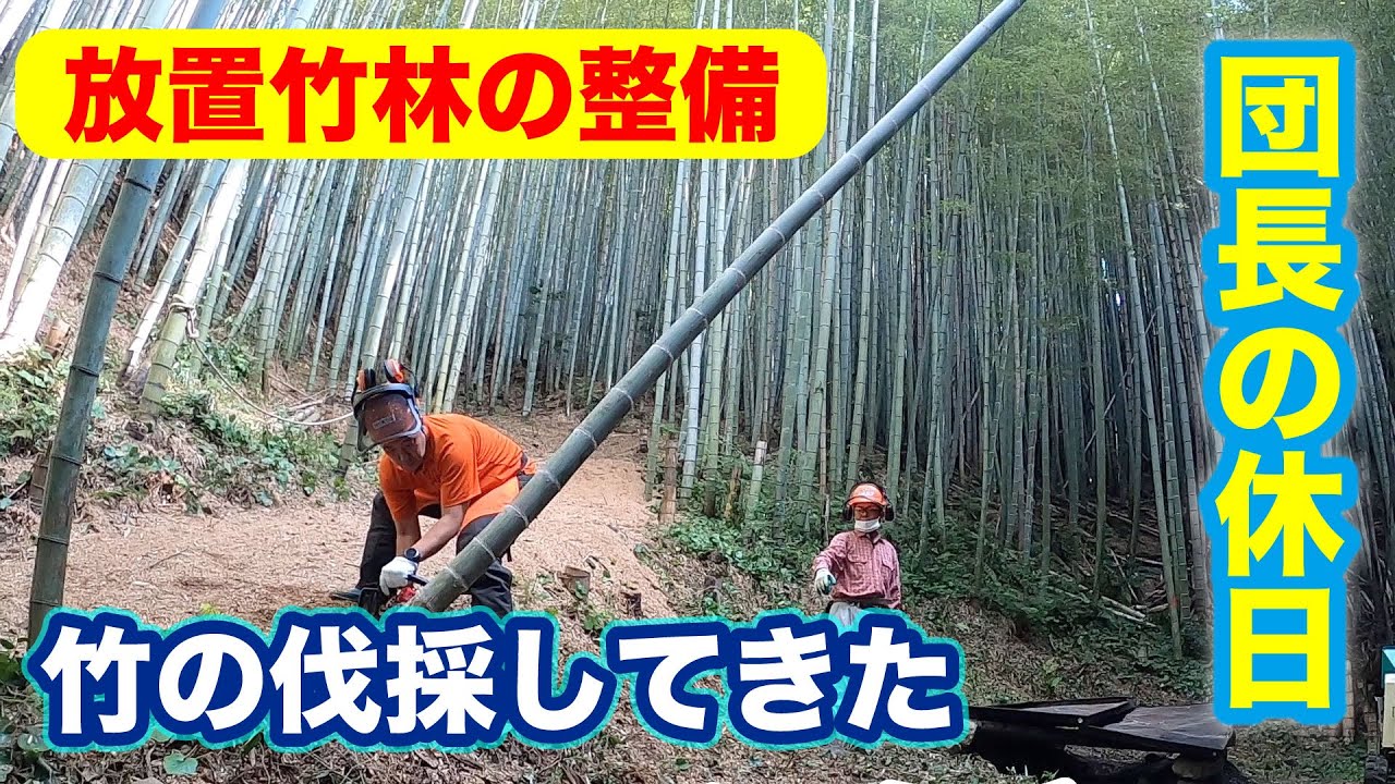 放置竹林整備】竹の伐採のお手伝い【SDGs】 - YouTube