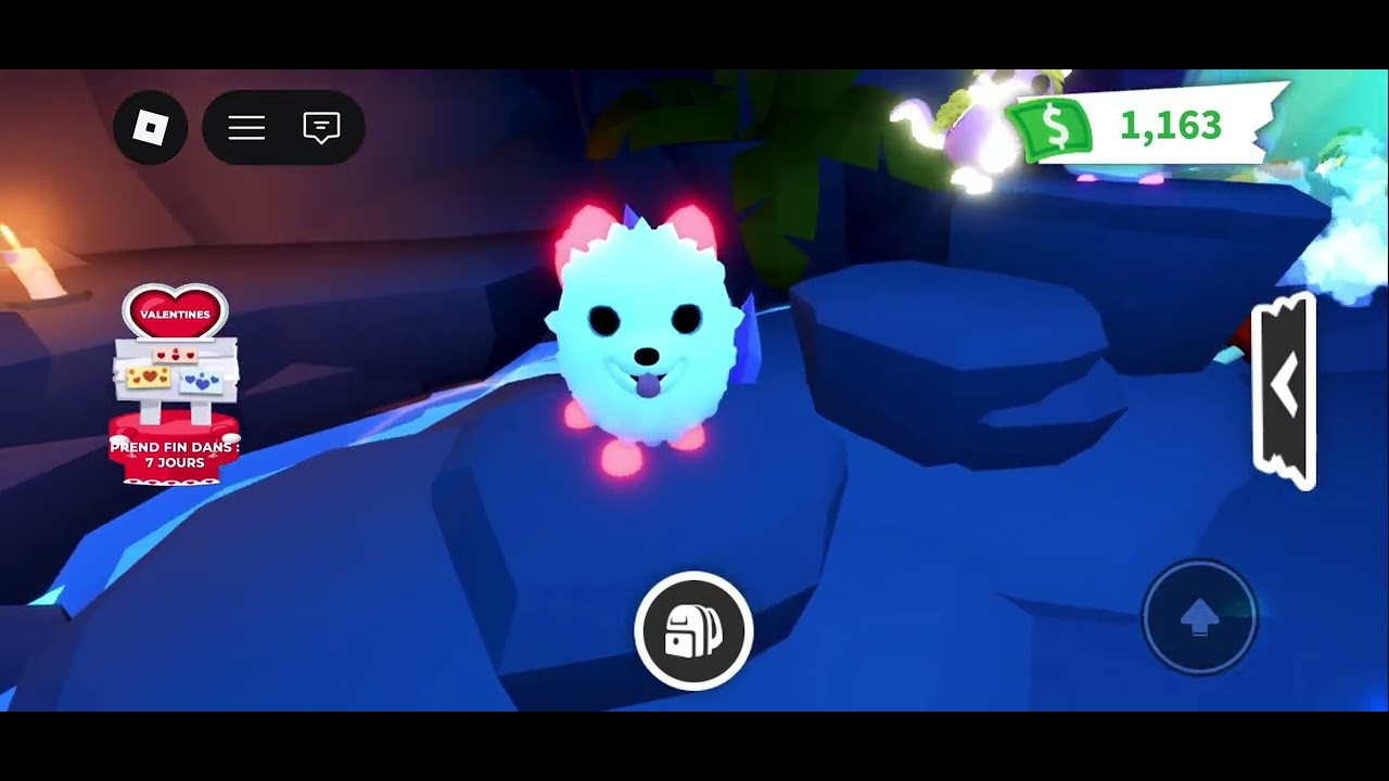 Adopte Me Pet, néon