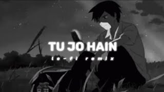 Tu Jo Hain Lo-Fi Remix - Sanju Baba Muzic I Nexso Brothers I Mr.x I Emraan H I Zr Records Nps