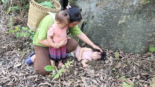 single mother - help the baby abandoned in the forest