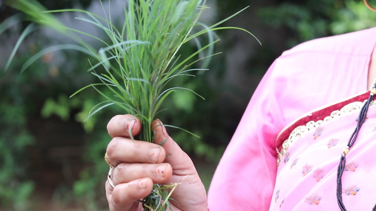 दूब घास, कुश घास की पहचान और आचमनी बनाना सीखिये।