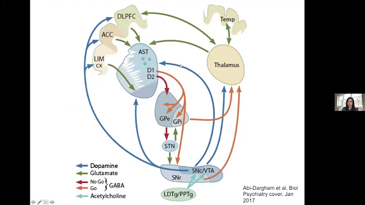 Insights From Multimodal Imaging Studies of Schizophrenia - DayDayNews