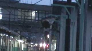 EF81-28[富山]牽引貨物信越本線新津駅通過