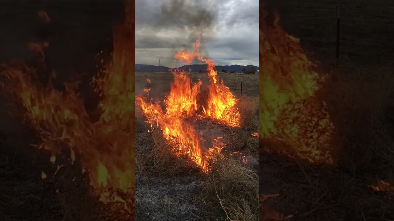 Burning Tumbleweeds in slow motion YouTube