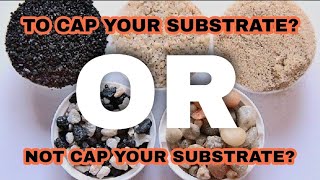 Do YOU Need A Sand Cap? Substrate Caps & What Are The Benefits for My Planted Aquarium & Filtration?