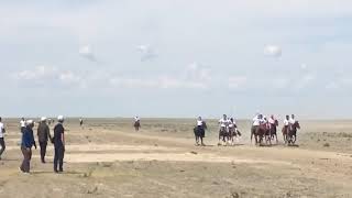 Карабау байге 2019 26 май