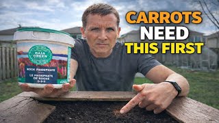 This One Missed Step Is Why Your Carrots Stay Small