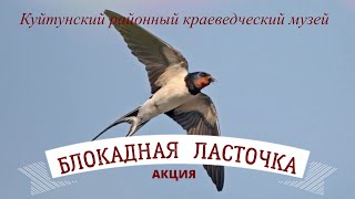 Блокадная ласточка