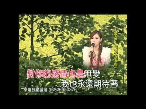 佳慧 惜別的海岸