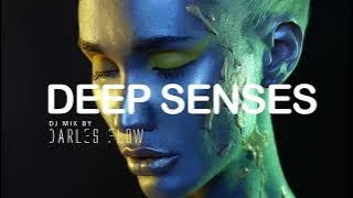 Darles Flow - Deep Emotional Senses | Deep House Mix