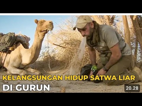 Ed stafford sub indo, akhirnya tumbang di gurun akibat diare parah - hutan rimba