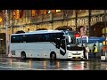 ANC Management TV 685B - Gold Gardens XML6121J.AUS 