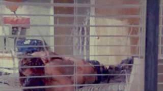Nathan/Haley - Halo