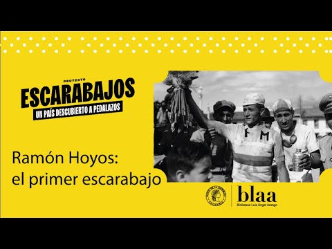 Video: Datos sobre los escarabajos itinerantes - ¿Qué son los escarabajos itinerantes? ¿Son amigos o enemigos?