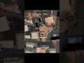 #codmafrica #fypシ゚viral