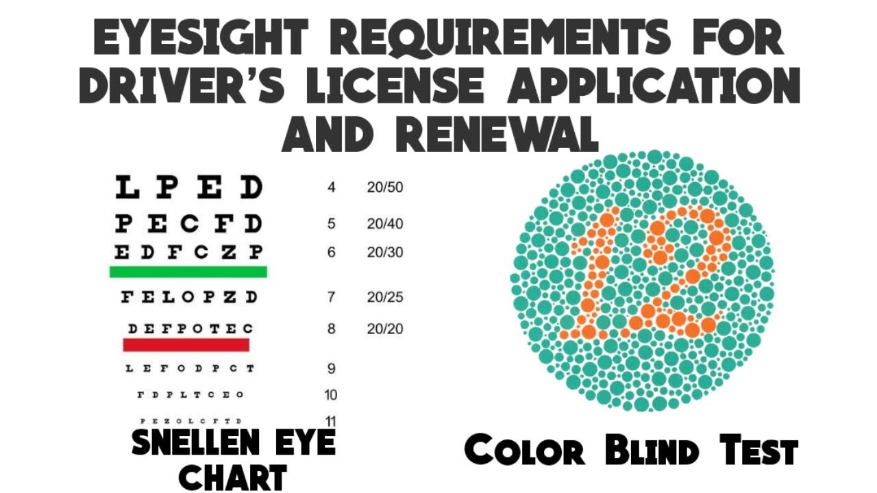 EYESIGHT REQUIREMENTS FOR DRIVER'S LICENSE APPLICATION AND RENEWAL ...