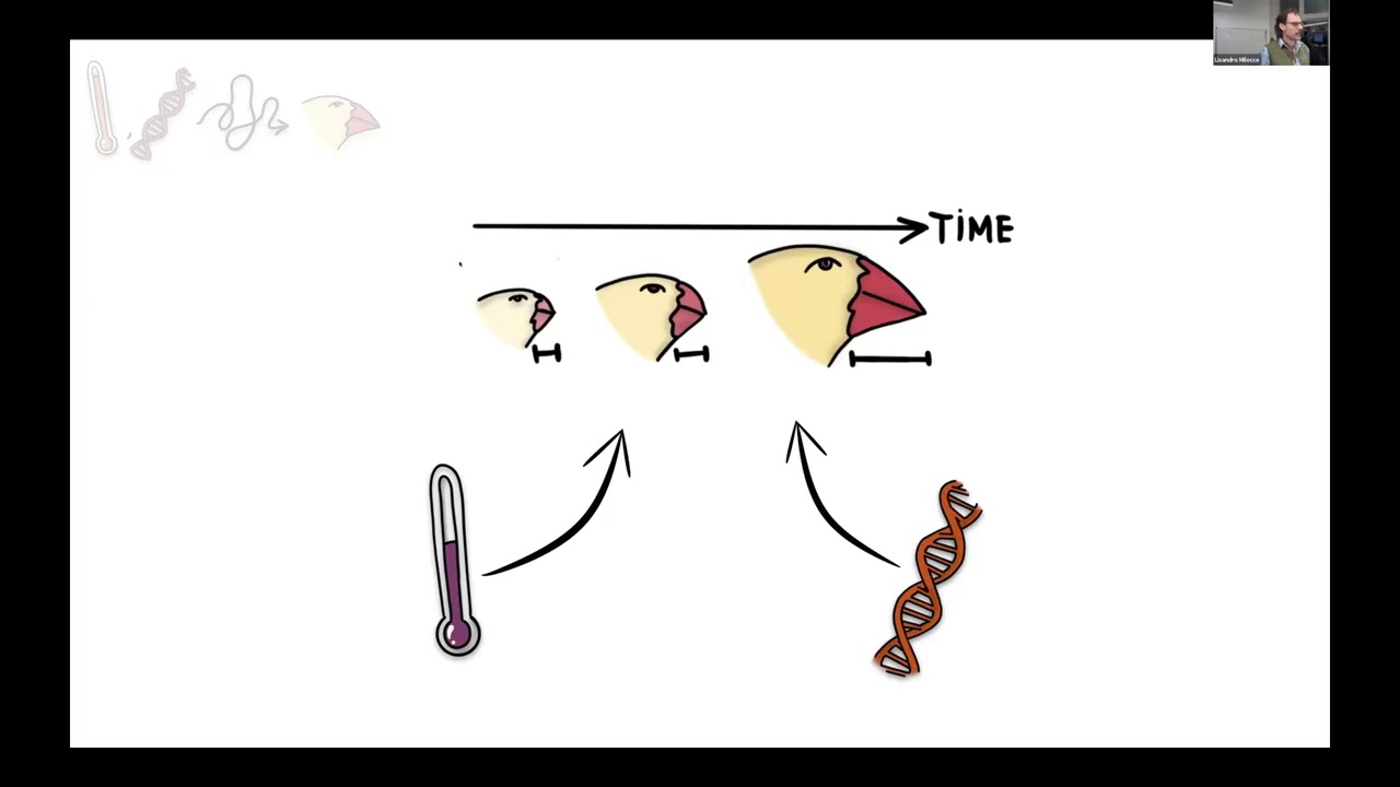 Lisandro Milocco - Prediction and Control in Evolution: From “Survival” to  “Arrival”of the Fittest