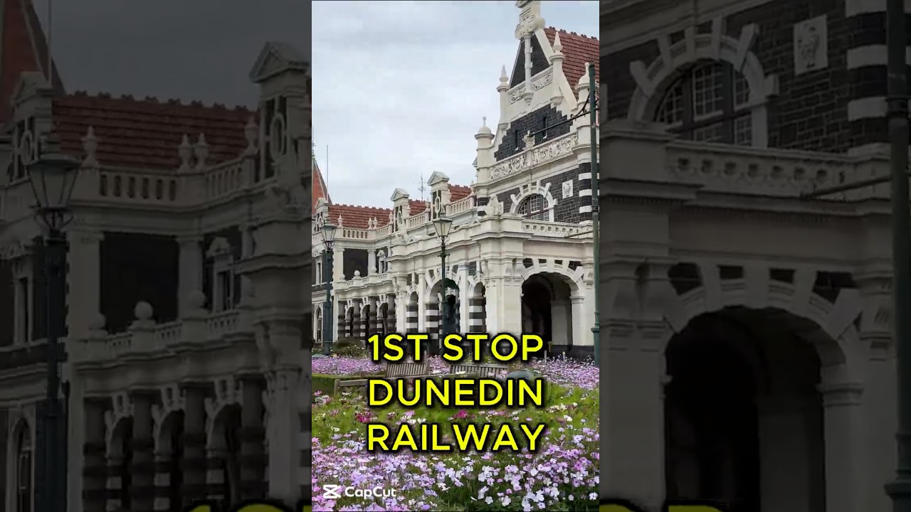 What to do in Dunedin on a Budget #dunedin #travelvlog #cruising #lyttelton #budgettravel