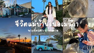 ชีวิตแม่บ้านในอเมริกา | พาเที่ยวคาเฟ่กระต่าย | Solana beach | San Diego