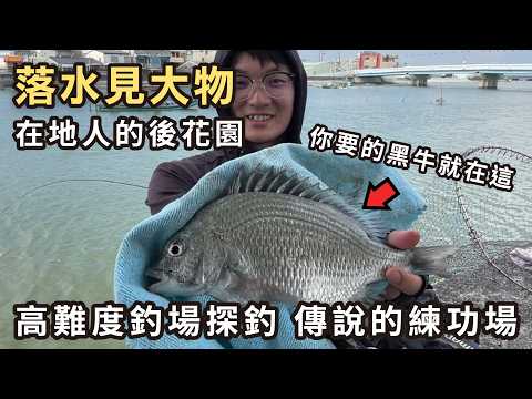 流速快高難度釣場探釣????落水見大物????在地人的後花園 傳說的練功場︱磯釣︱黑鯛︱黃鰭鯛︱全游動︱Fishing︱