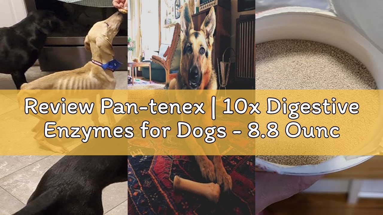 Review Pan-tenex | 10x Digestive Enzymes for Dogs - 8.8 Ounces (250 Grams)