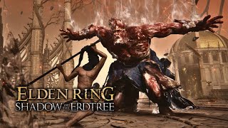 Elden Ring - Lord Godfrey, Grace's Chosen (Godfrey Overhaul)