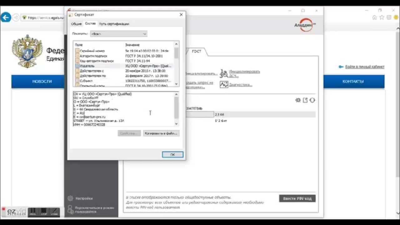 Егаис localhost. Егаис localhost