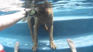 MVI_6969.MOV